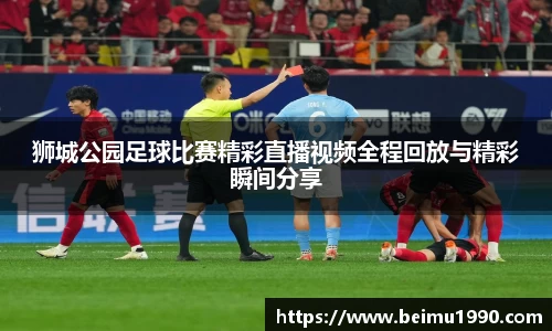 狮城公园足球比赛精彩直播视频全程回放与精彩瞬间分享